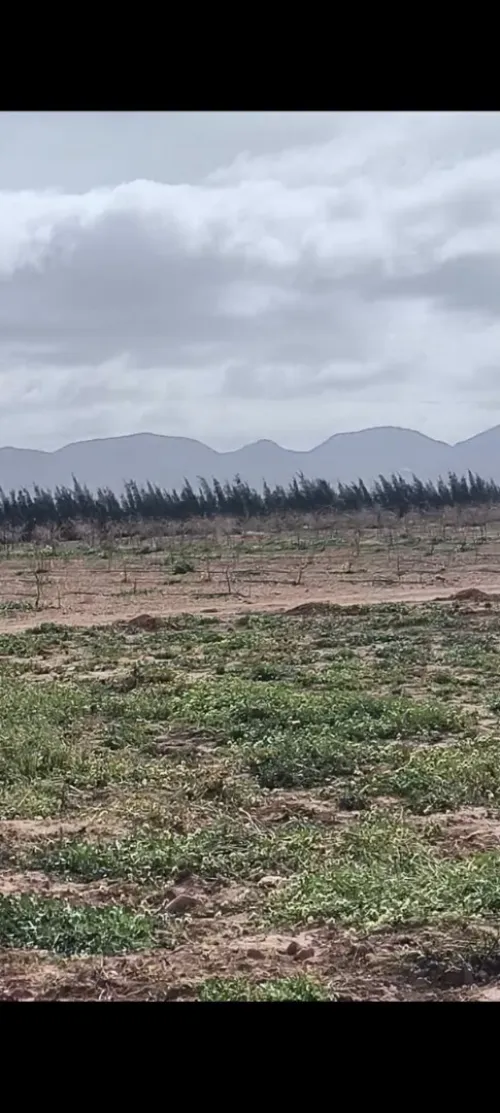Vente Terrain Agricole Djelfa Benhar