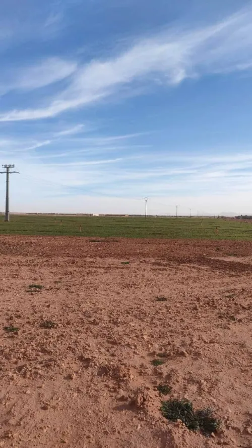 Vente Terrain Agricole Djelfa Benhar