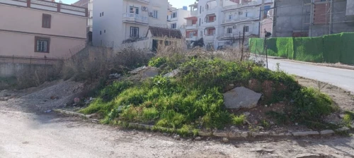 Vente Terrain Constantine Constantine