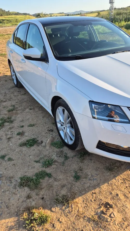 Skoda Octavia Scout 2019 