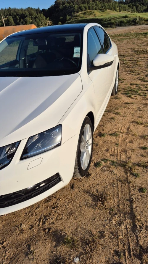 Skoda Octavia Scout 2019 