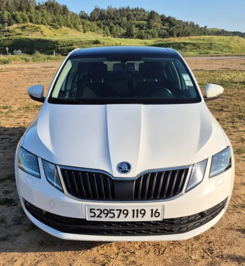 Skoda Octavia Scout 2019 
