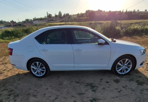 Skoda Octavia Scout 2019 