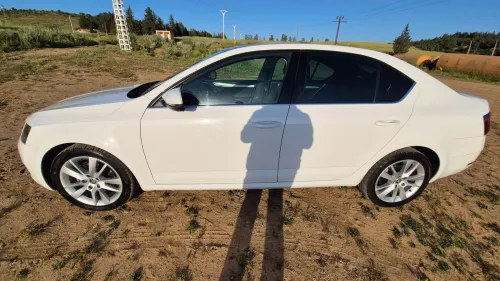 Skoda Octavia Scout 2019 
