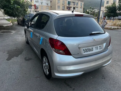 Peugeot 207 2011 Fennec