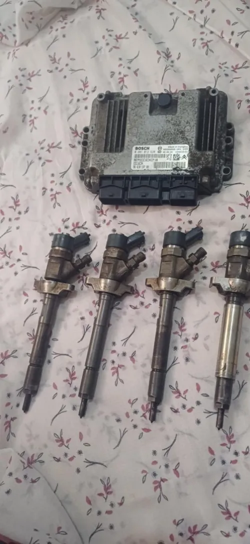 Injicteur et mémoire 1.6 hdi