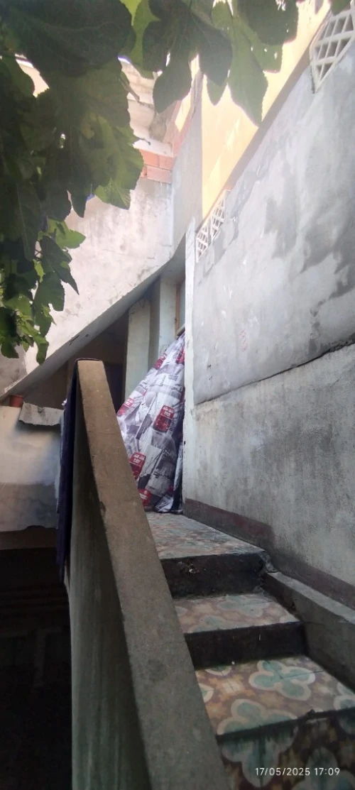 Vente Immeuble Souk Ahras Souk ahras