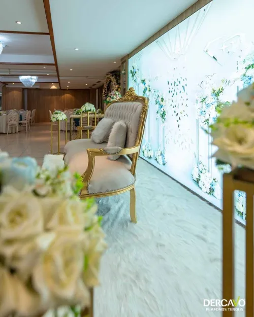 Toile Tendue