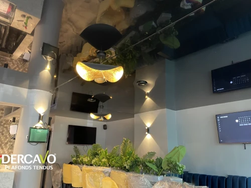 Faux plafond - plafonds