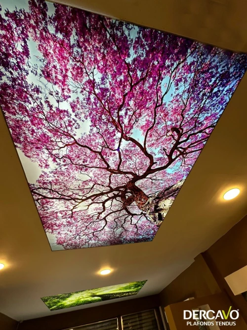 plafond tendu