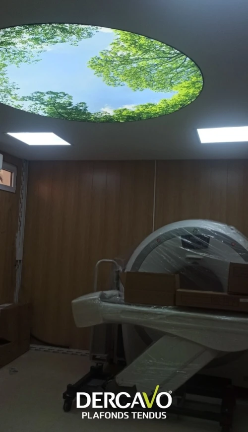 faux plafond