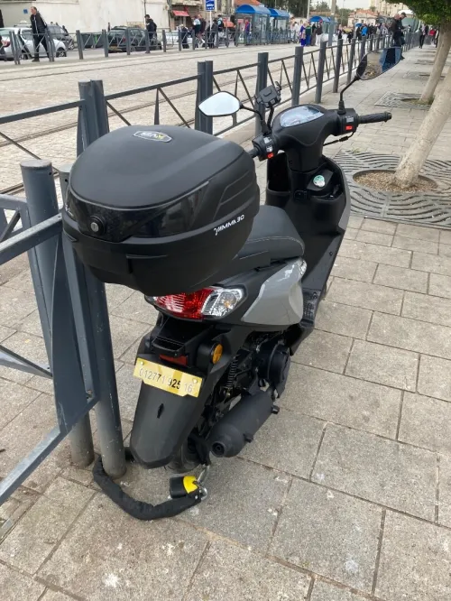 Vms Jocci 2025