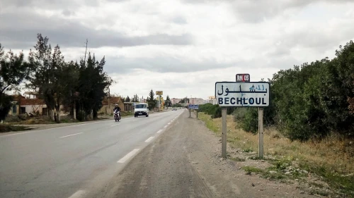 Vente Terrain Bouira Bechloul