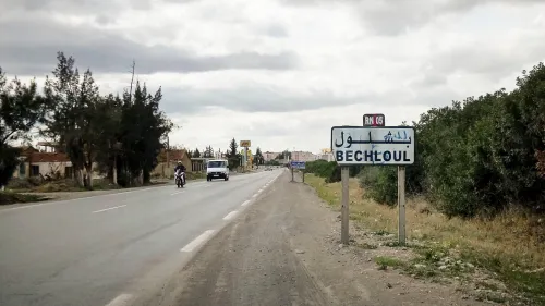 Vente Terrain Bouira Bechloul