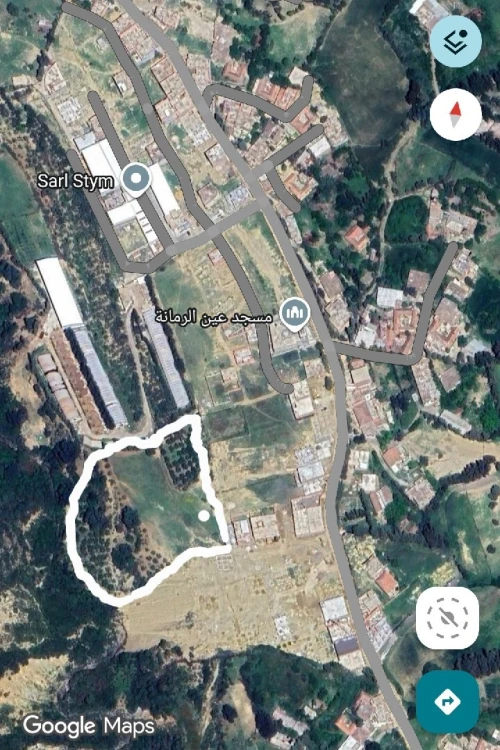 Vente Terrain Blida Ain romana