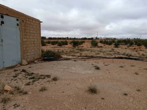 Vente Terrain Agricole Djelfa Hassi bahbah