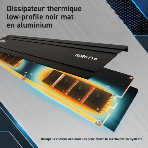 KIT DUAL CHANNEL CRUCIAL PRO 48GB KIT DDR5-6000 CL48 (CP2K24G60C48U5)