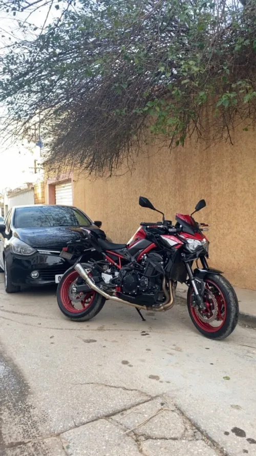 Kawasaki Z900 2024
