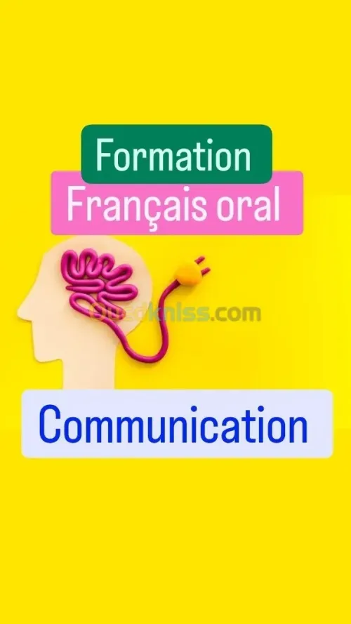 Formation français oral "en ligne" / communication / conversation
