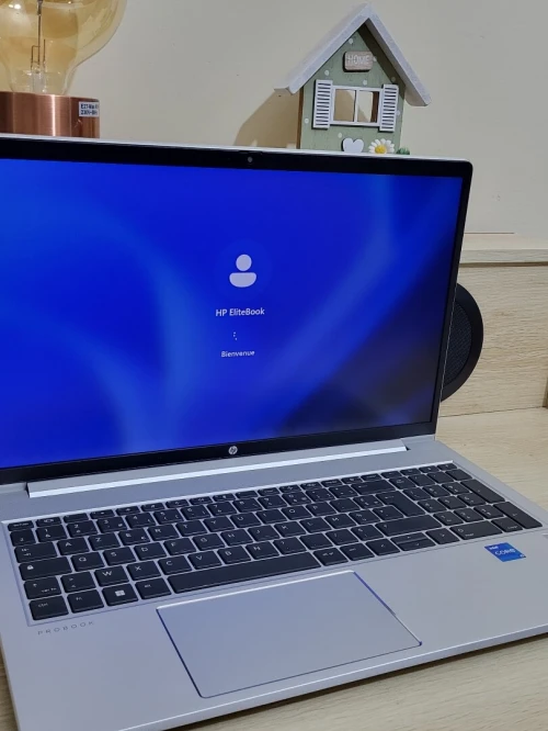 HP PROBOOK 450 G10 15.6'' FHD | INTEL CORE i5 1335U | 16GB RAM | 512GB SSD | INTEL UHD GRAPHICS