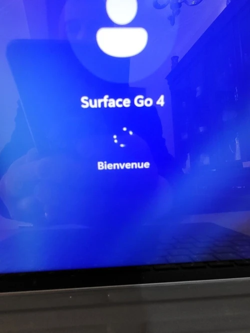 Microsoft Surface GO 4 TACTILE | INTEL N200 | 8GB RAM | 256GB SSD | Poids : 544g