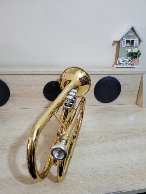 Cornet Yamaha Ycr 2330 III