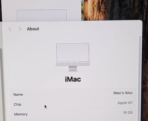 IMAC M1 24'' 4.5K | M1 Pro 8 CPU | GPU 8 COEURS | 16GB RAM | 512GB NVMe SSD |