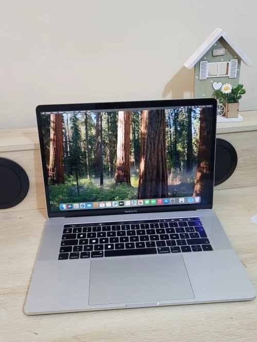 MacBook Pro 15" 2019 | CORE i7 | 16GB RAM | AMD RADEON PRO 555X 4GB | 256GB SSD | GAMME | Workstation