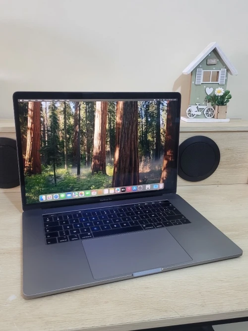 MacBook Pro 16" 2019 | INTEL CORE i7 | 16GB RAM | RADEON PRO 555X 4GB | 256GB NVMe SSD | WORKSATION