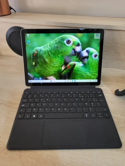 Microsoft Surface GO 4 TACTILE | INTEL N200 | 8GB RAM | 256GB SSD | Poids : 544g
