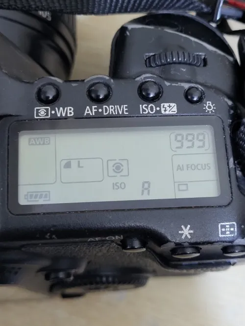 canon 5d mark ii + Canon EF 24-105mm f/4L IS USM