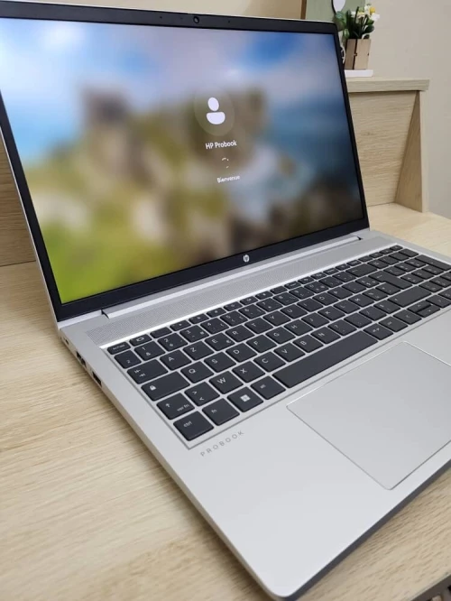 HP ProBook 455 G10 | RYZEN 5 PRO 7530U | 8GB RAM | 256GB NVMe SSD | RADEON GRAPHICS