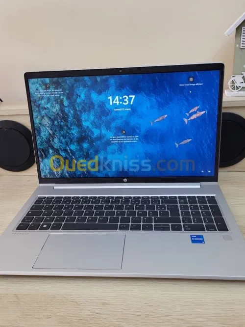 HP PROBOOK 450 G10 15.6'' FHD| INTEL 13EME GENERATION i5 1335U | 16GB RAM | 512GB SSD | UHD GRAPHICS