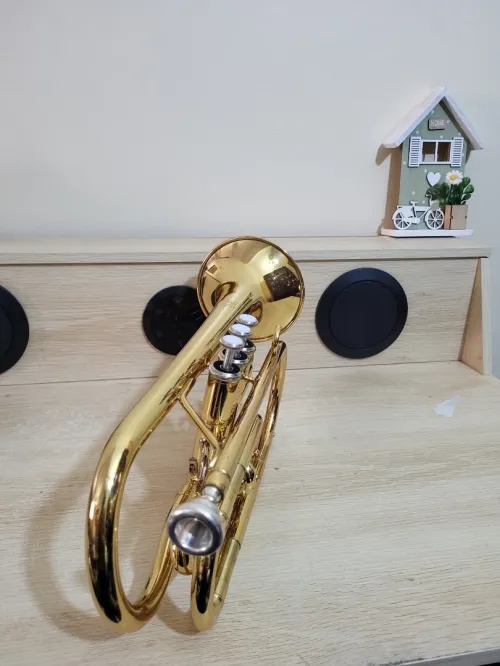 Cornet Yamaha Ycr 2330 III