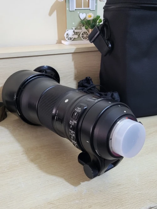 Sigma Téléobjectif 150-600mm F5-6.3 DG OS HSM Contemporary | Monture Nikon | pour la captation à distance et l'événement | Rendu pro