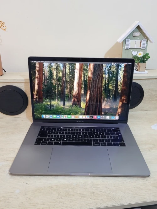 MacBook Pro 16" 2019 | CORE i7 | 16GB RAM | AMD RADEON PRO 555X 4GB | 256GB SSD | GAMME Workstation