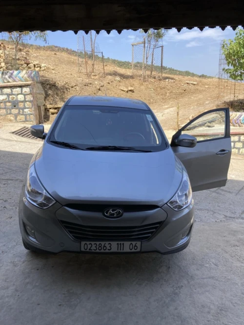 Hyundai Tucson 2011 Tucson