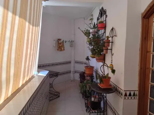 Vente Duplex F5 Béjaïa Bejaia