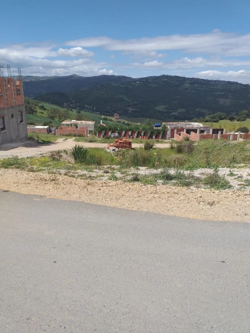 Vente Terrain Boumerdes Larbatache