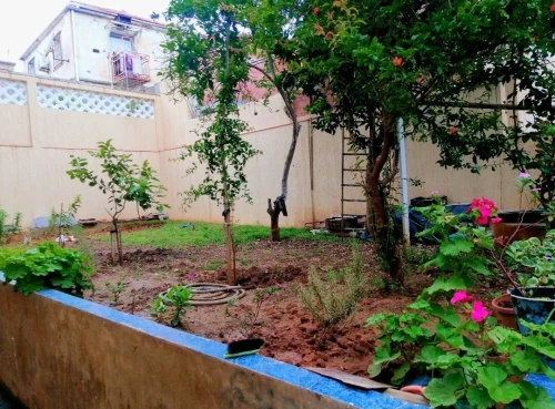 Location vacances Appartement F2 Alger Ain taya