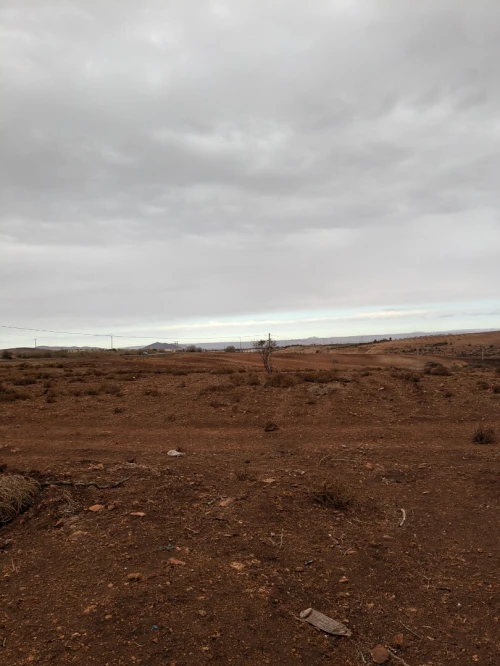 Location Terrain Agricole Aïn Témouchent Chaabet el ham