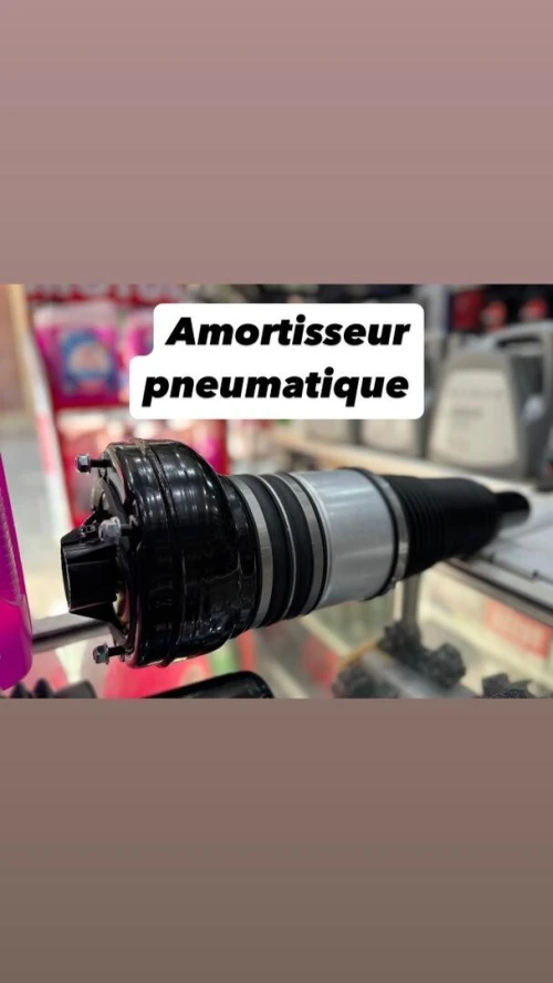 AMORTISSEUR PNEUMATIQUE