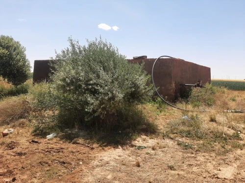 Vente Terrain Agricole Saïda Sidi ahmed