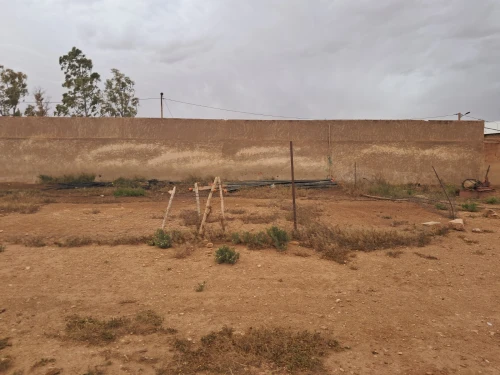 Vente Terrain Agricole Saïda Sidi ahmed