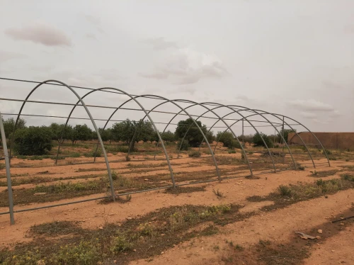 Vente Terrain Agricole Saïda Sidi ahmed