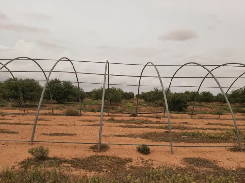 Vente Terrain Agricole Saïda Sidi ahmed