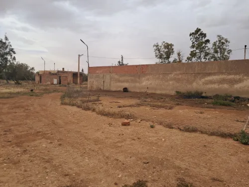 Vente Terrain Agricole Saïda Sidi ahmed