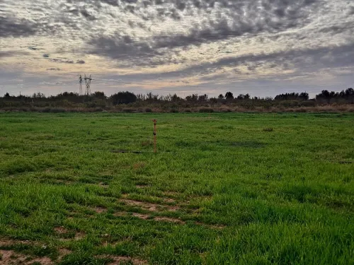 Vente Terrain Agricole Saïda Sidi ahmed