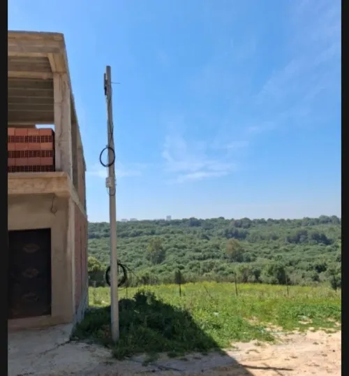 Vente Terrain Alger Souidania