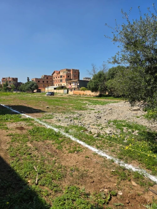 Vente Terrain Alger Birtouta